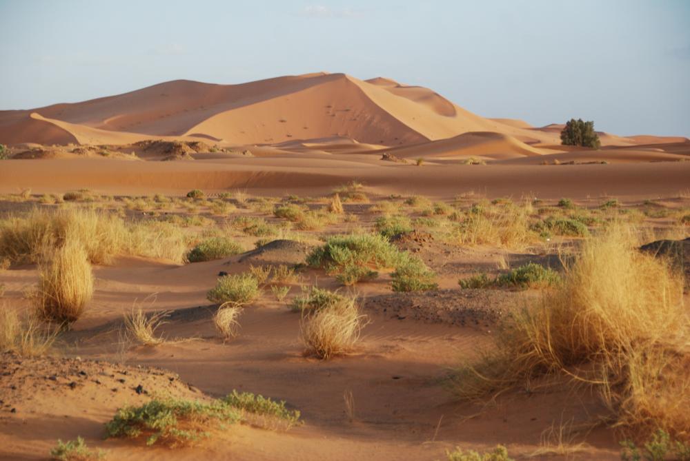 MERZOUGA DESERT.jpg